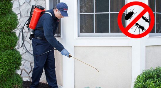 Nilüfer Hamam Böceği İlaçlama böcek ilaçlama ve haşere kontrolü — ilaclama-tr.com